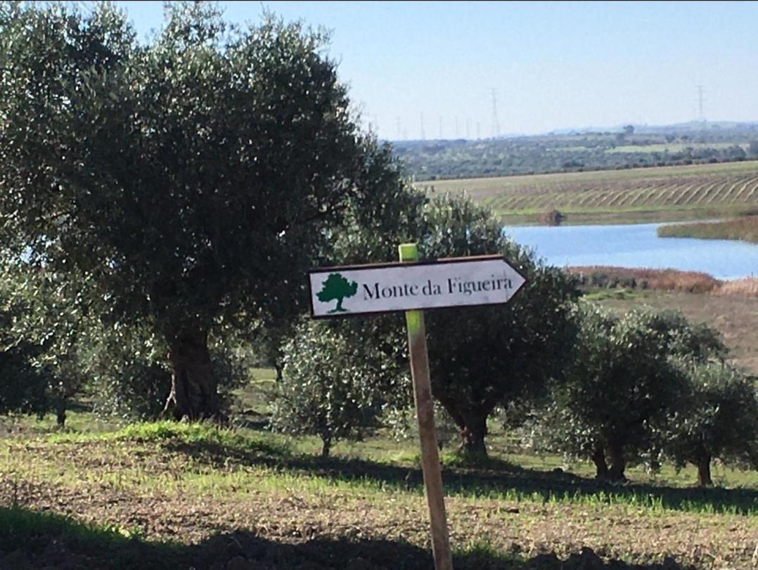 Monte Da Figueira Villa Amareleja ภายนอก รูปภาพ