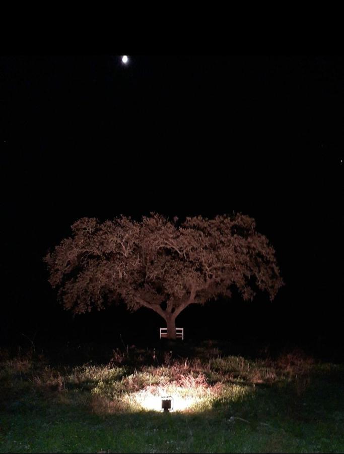 Monte Da Figueira Villa Amareleja ภายนอก รูปภาพ