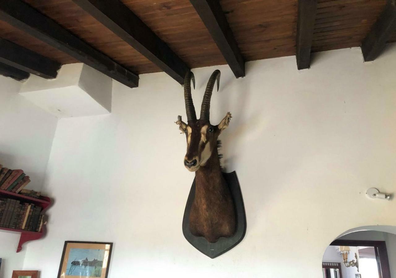 Monte Da Figueira Villa Amareleja ภายนอก รูปภาพ